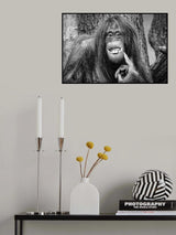 She's got the look! Poster och Canvastavla
