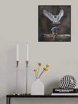 Falcon's Love Season Poster och Canvastavla