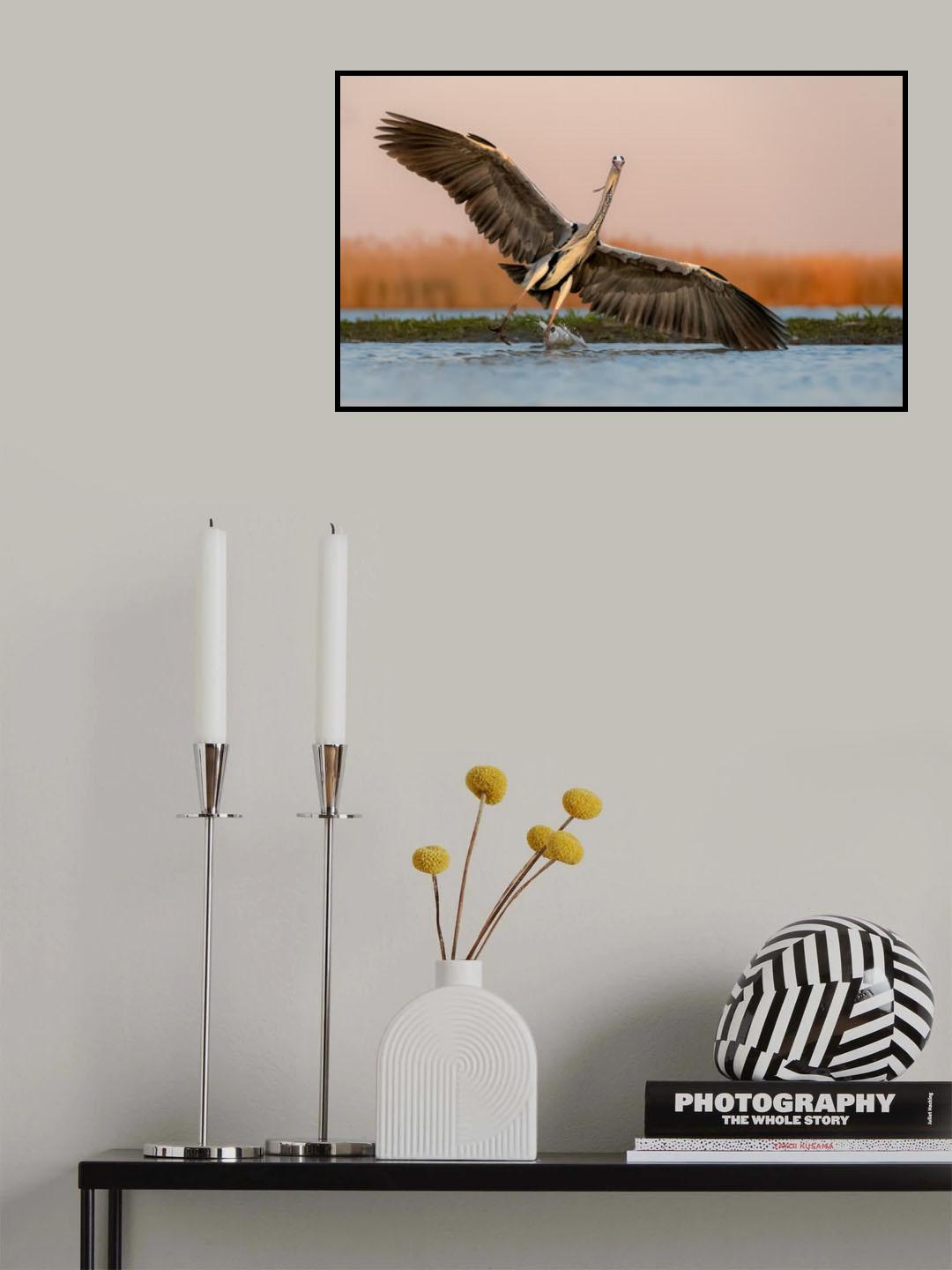 Langding on water Poster och Canvastavla