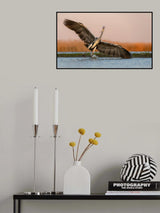 Langding on water Poster och Canvastavla