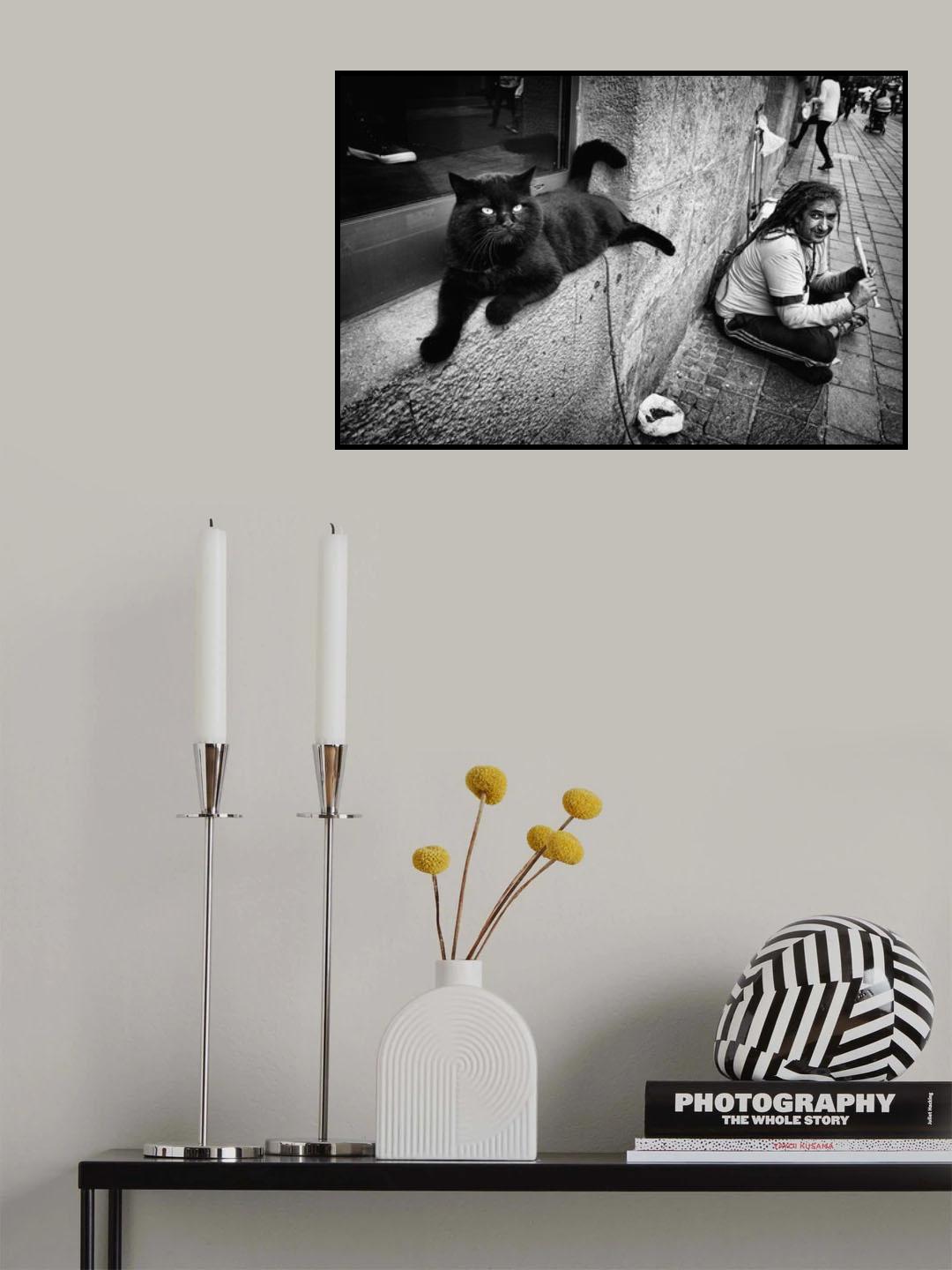 who is the master Poster och Canvastavla
