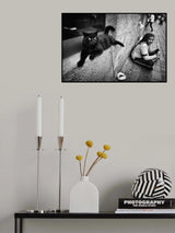who is the master Poster och Canvastavla