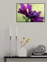 Small quartet Poster och Canvastavla