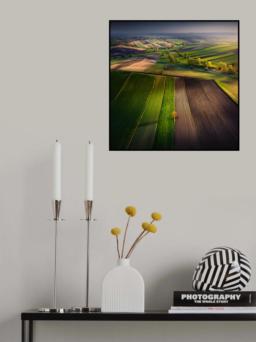 Ponidzie Poster och Canvastavla