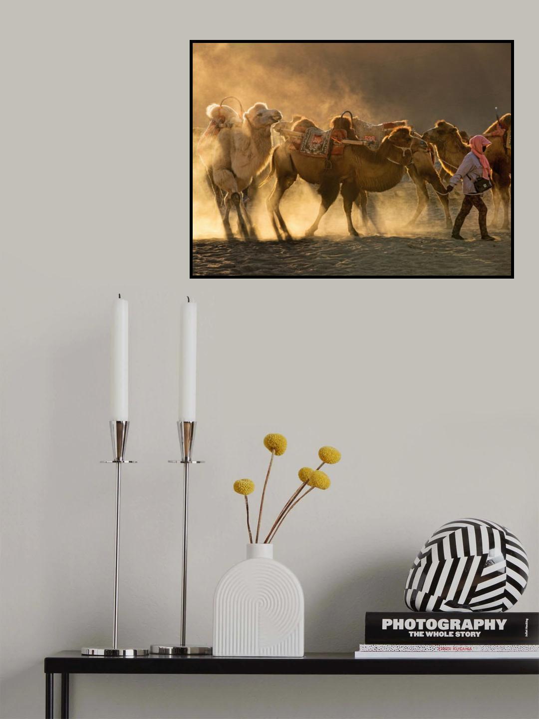 Camel station Poster och Canvastavla
