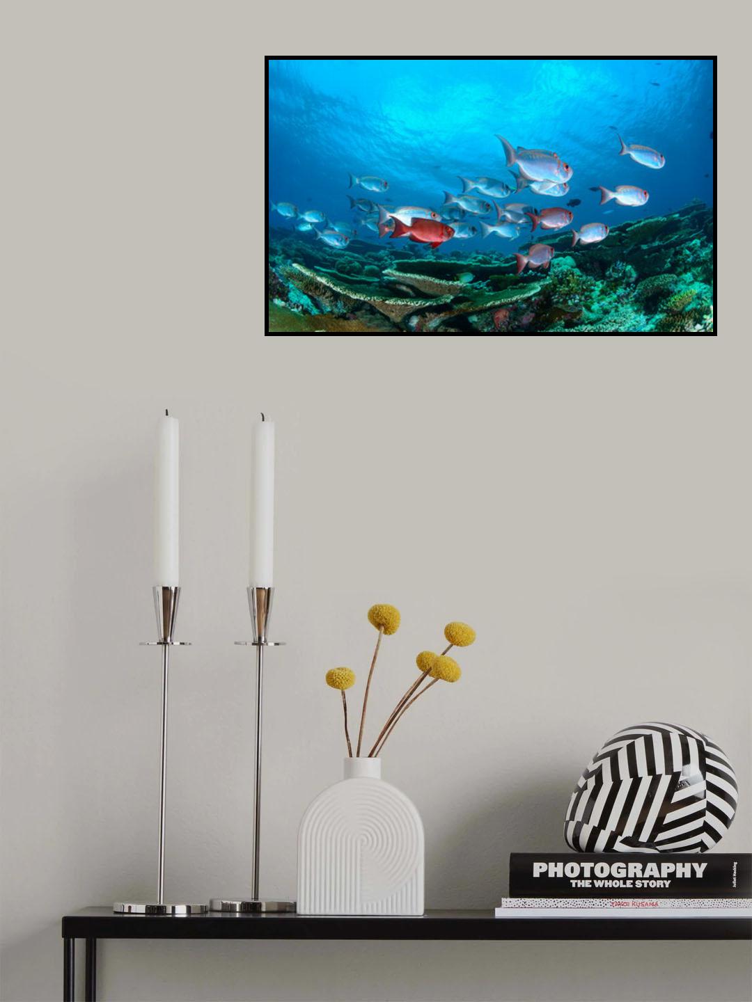 Enchanthed Gardens Poster och Canvastavla