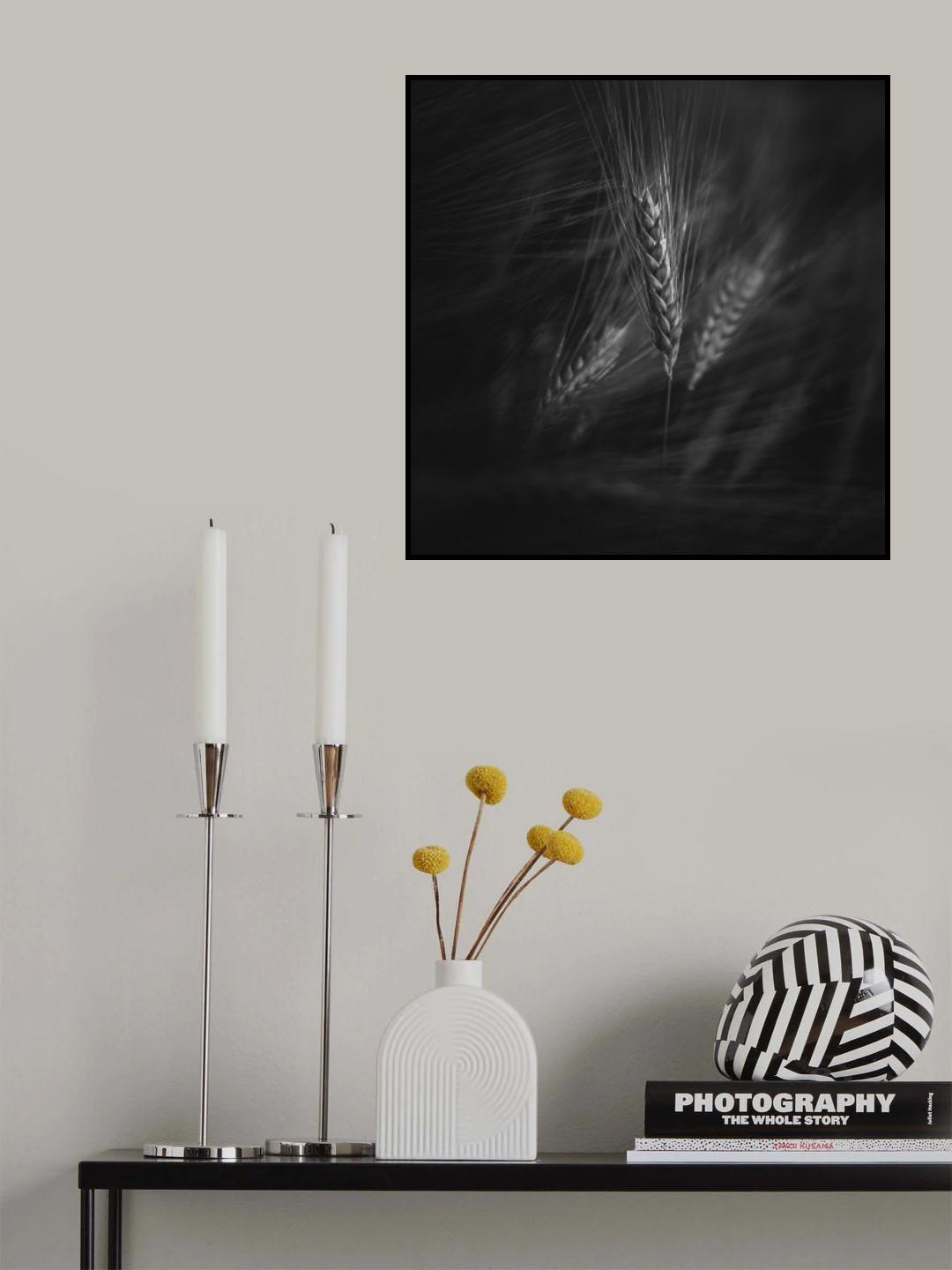 Summer breeze Poster och Canvastavla