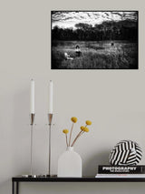 Poster och Canvastavla