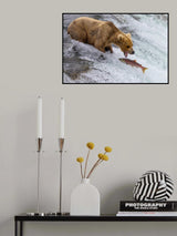 Got it Poster och Canvastavla