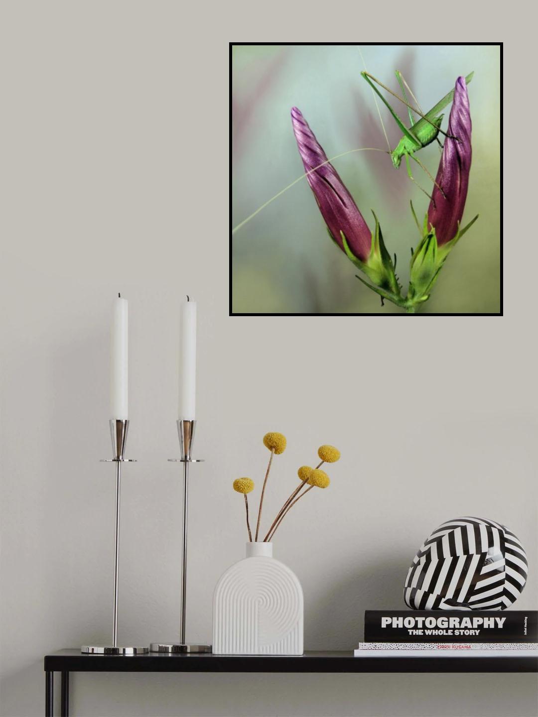 Katydid Poster och Canvastavla