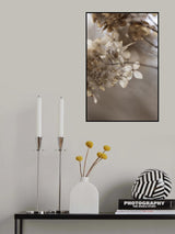 Hydrangea 1 Poster och Canvastavla