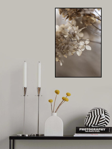 Hydrangea 1 Poster och Canvastavla