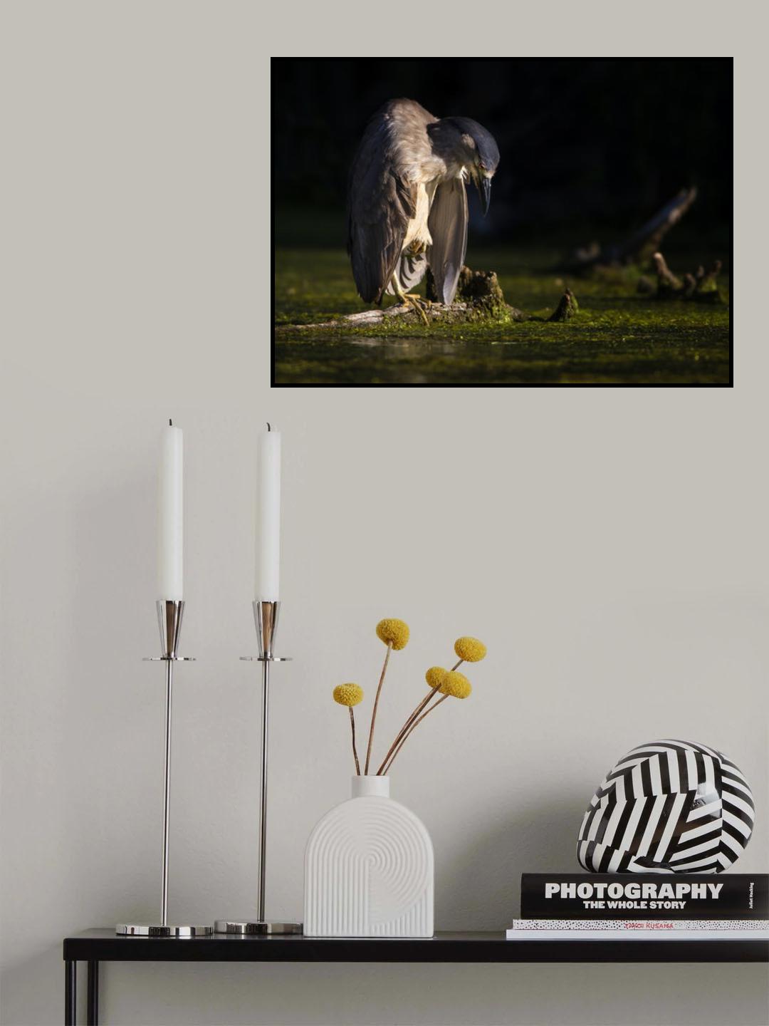 Zone out Poster och Canvastavla