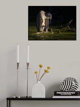 Zone out Poster och Canvastavla