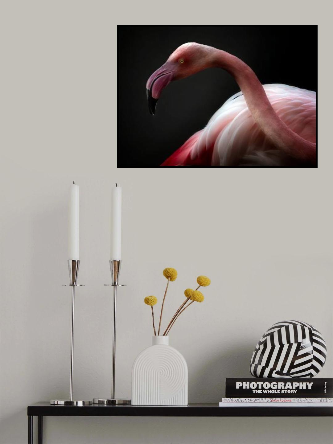 Flamingo portrait Poster och Canvastavla