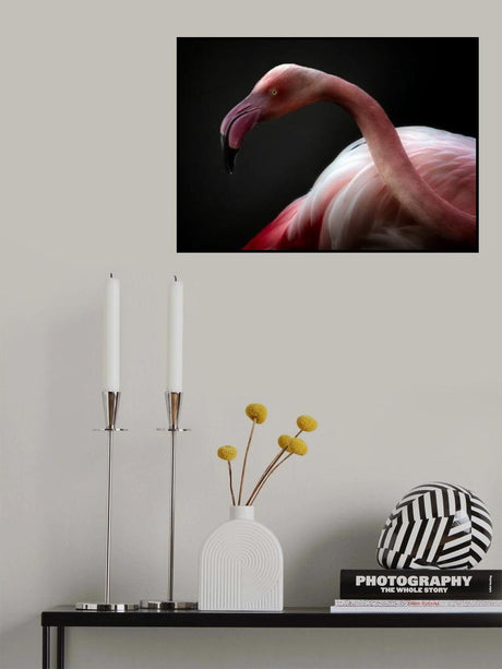 Flamingo portrait Poster och Canvastavla