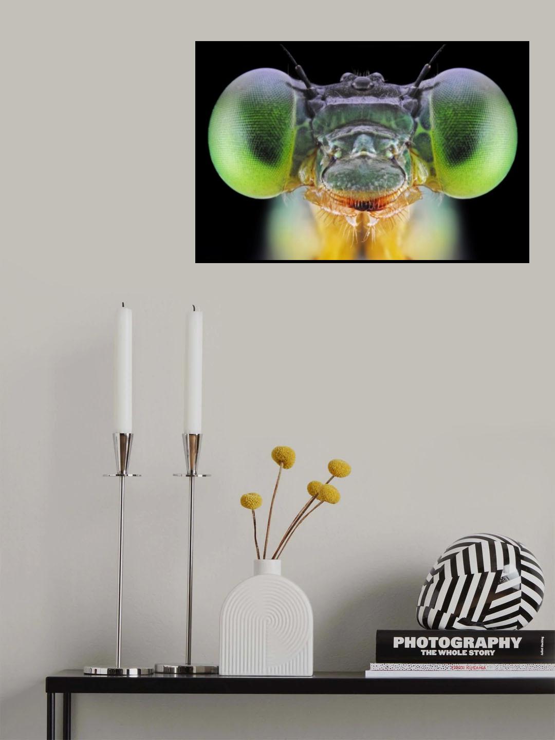 Ceriagrion cerinorubellum Poster och Canvastavla