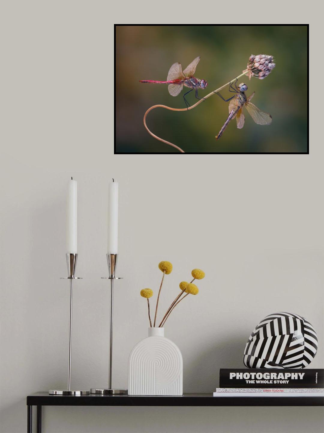 Poster och Canvastavla