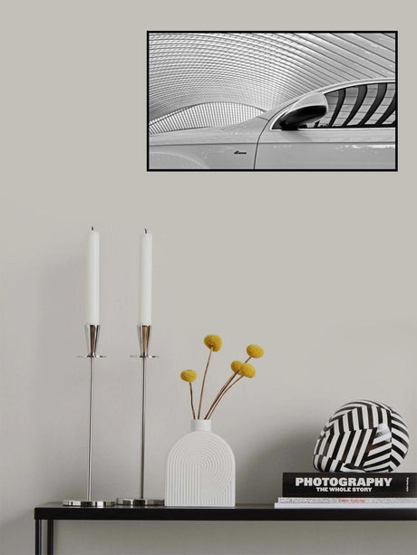 on the white side Poster och Canvastavla