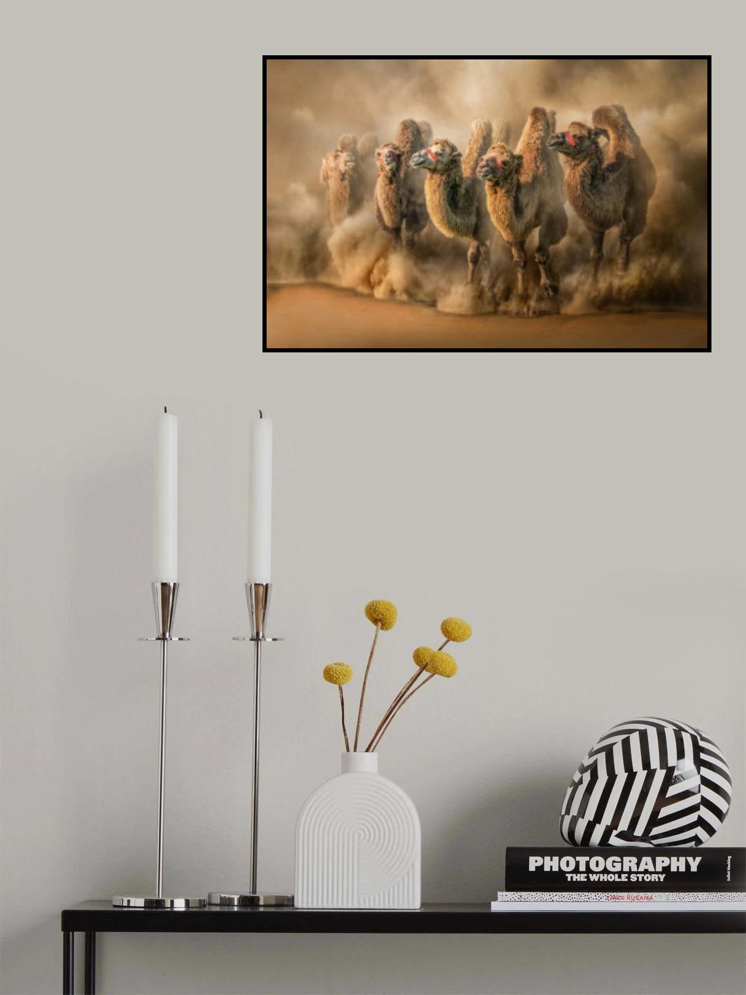 DesertRun Poster och Canvastavla