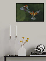 Fight between rainbows 2 Poster och Canvastavla