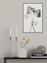 Transparent Botanic No 2 Poster och Canvastavla