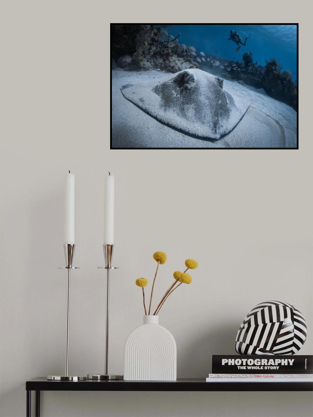 I see you Poster och Canvastavla