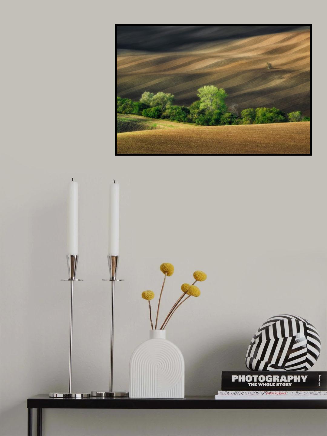 Lines and shadows Poster och Canvastavla