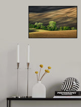 Lines and shadows Poster och Canvastavla
