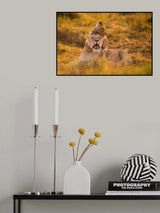 Head Bite Poster och Canvastavla