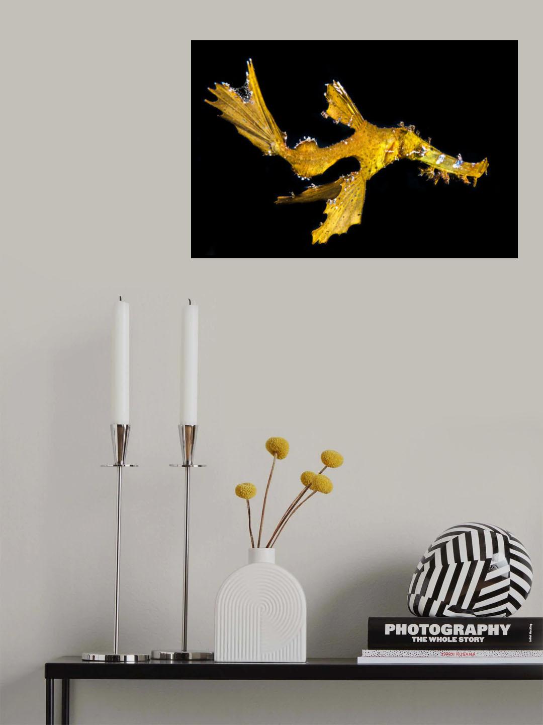 Delicate ghost pipefish Poster och Canvastavla
