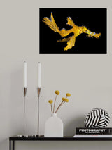 Delicate ghost pipefish Poster och Canvastavla