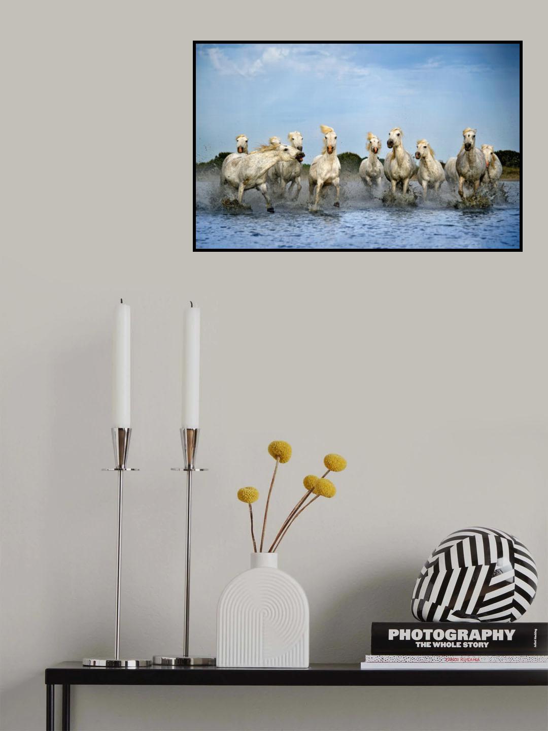 Out of my way Poster och Canvastavla