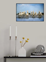 Out of my way Poster och Canvastavla