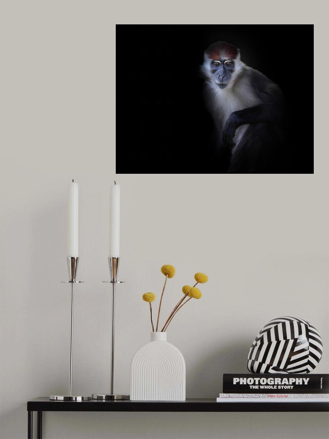 eyes Poster och Canvastavla