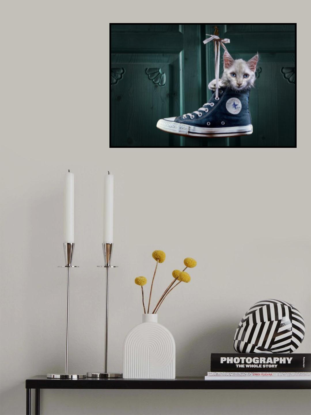 CatShoe Poster och Canvastavla