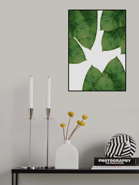 Banana Leaf I Poster och Canvastavla