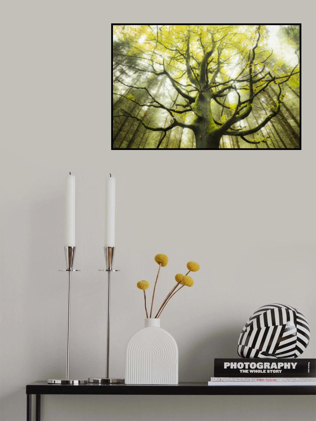 The Dream Tree Poster och Canvastavla