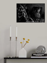 Female inside the frame Poster och Canvastavla