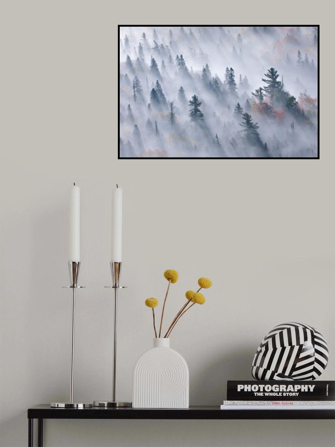 Trees shrouded in fog Poster och Canvastavla