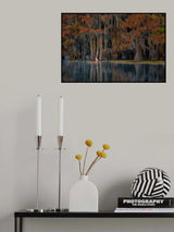 The swamp in autumn Poster och Canvastavla