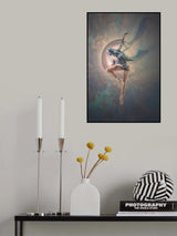 Balerina Poster och Canvastavla