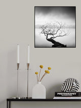 Root to Branches Poster och Canvastavla