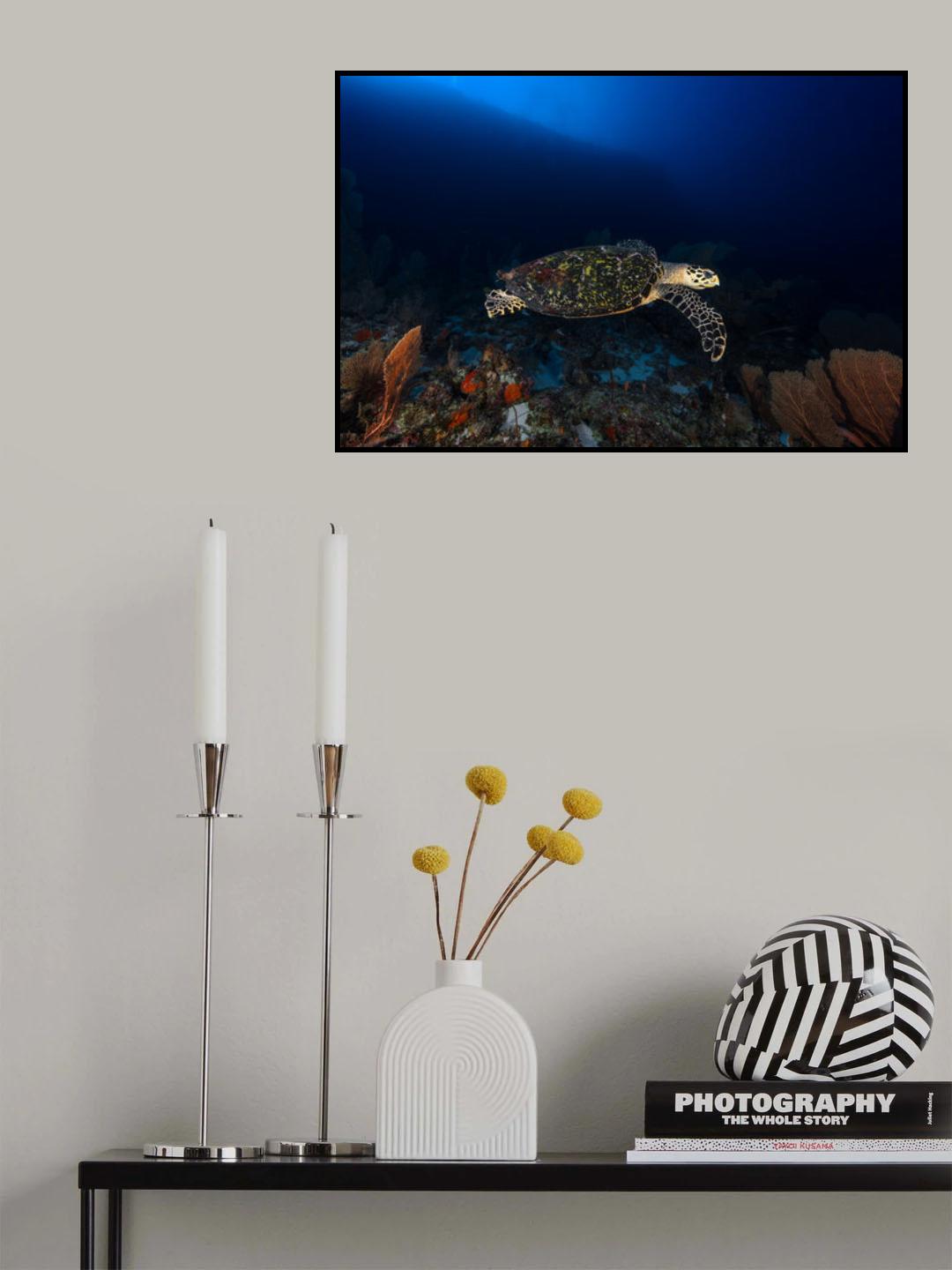 Hawksbill Turtle Poster och Canvastavla