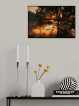 Burning tree Poster och Canvastavla