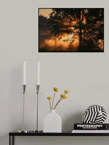 Burning tree Poster och Canvastavla