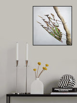 Trio Poster och Canvastavla