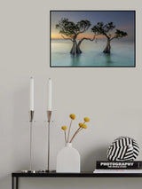 in between Poster och Canvastavla
