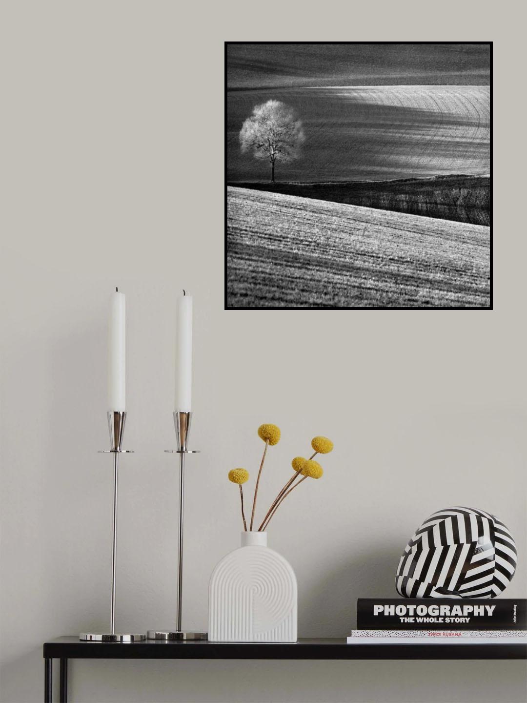 Fields and Tree Poster och Canvastavla