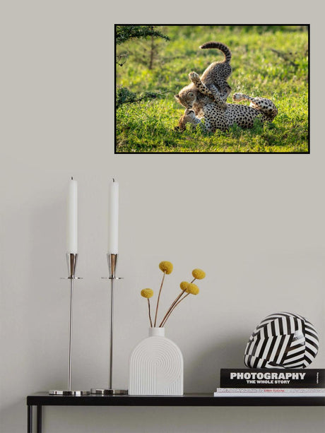 Happy moment Poster och Canvastavla